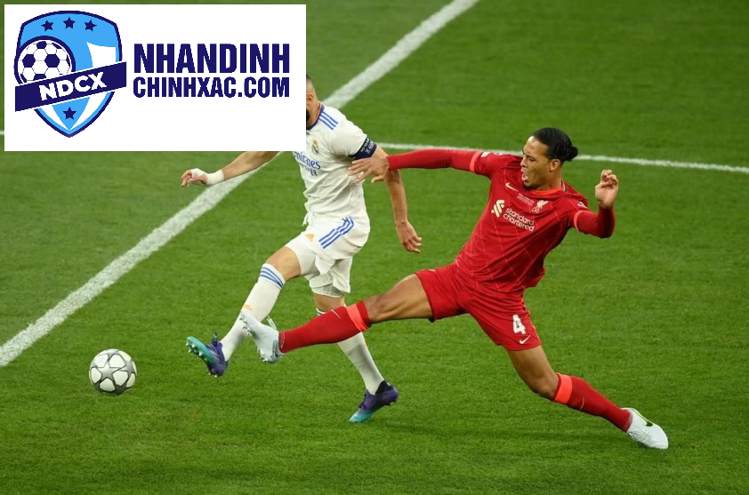 Los Blancos hoàn toàn không có ý định chiêu mộ trung vệ người Hà Lan.