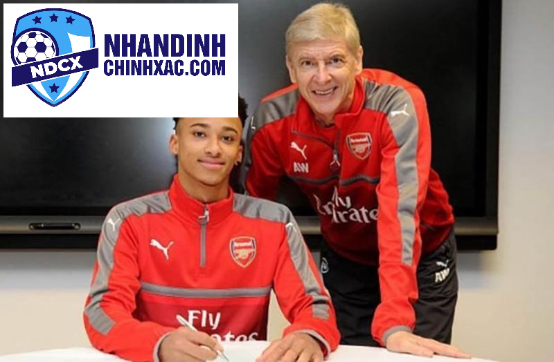 “Chuyển Động Chợ Chuyển Nhượng: Arsenal Nhanh Chóng Bổ Sung Lực Lượng Sau Khi Sa Thải Công Nhân”