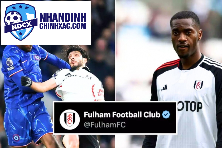 Fulham bị chỉ trích thiếu chuyên nghiệp bởi hành động của mình.