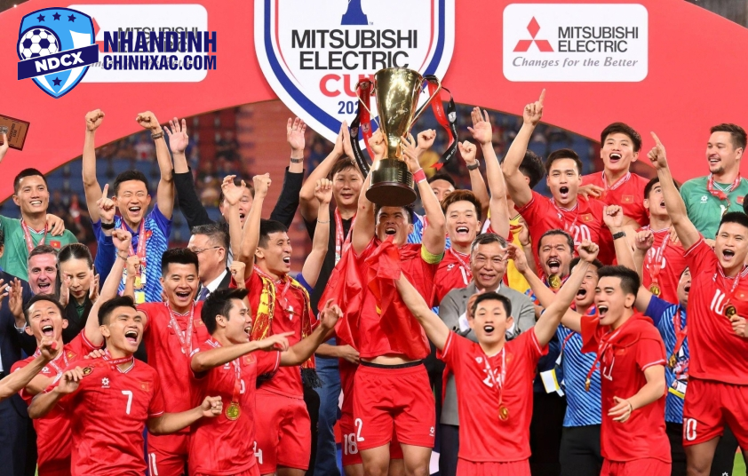 Cách Phân Chia Tiền Thưởng Của Đội Tuyển Việt Nam Sau Khi Vô Địch AFF Cup