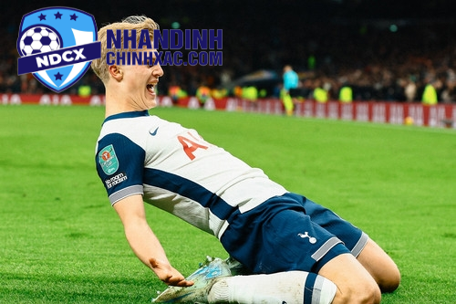 Trận Đấu Tamworth vs Tottenham: Dự Đoán Kết Quả Và Thời Gian Bắt Đầu, 19h30 Ngày 12/01/2025