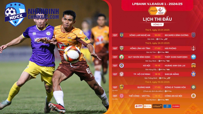 Lịch thi đấu vòng 11 V-League 2024/25 (Ảnh: VPF)