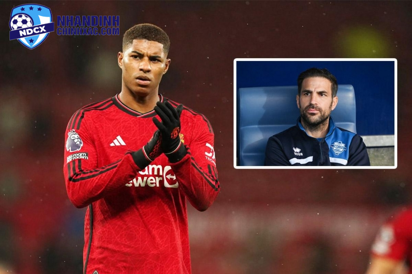 Cesc Fabregas muốn chiêu mộ Rashford theo dạng cho mượn.