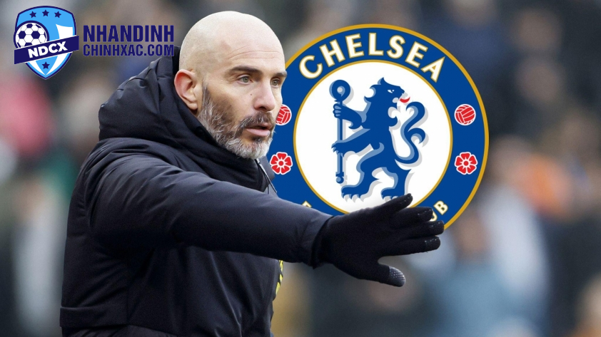 HLV Enzo Maresca Tuyên Bố: Chelsea Là Đội Bóng Chuyên Nghiệp, Không Phải Nơi Nuôi Dưỡng Trẻ Thơ