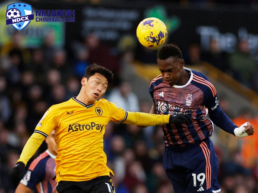 Tiêu đề mới: Trận Đấu Wolves Gặp Nottingham Forest: Dự Đoán Kết Quả Và Thời Gian Bắt Đầu, 03:00 Ngày 7 Tháng 1 Năm 2025