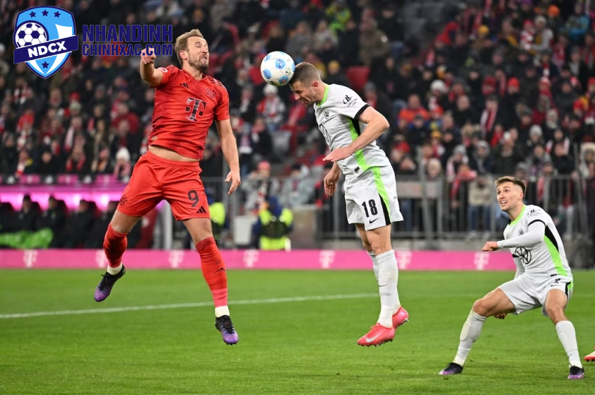 Phân Tích Trận Đấu Wolfsburg và Holstein Kiel: Dự Báo Kết Quả Và Thời Gian Bóng Lăn, 2h30 Ngày 25/01/2025